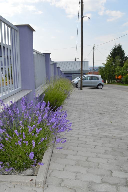 Pansion Antonio Slavonski Brod Exterior foto